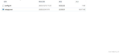 在公司內網開發的時候如何和互聯網第三方平臺環境聯調之內網穿透